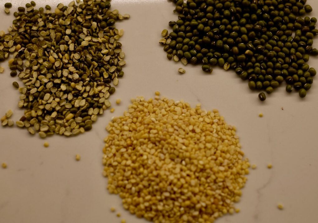 Types of mung bean lentils